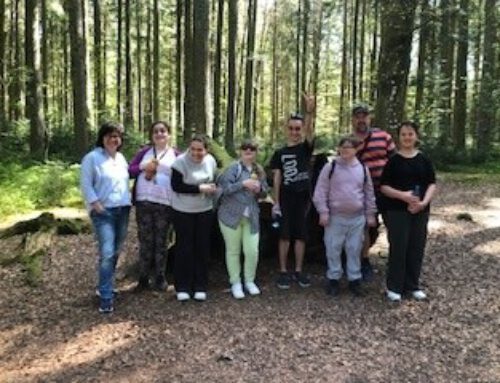 Ausflug in den Eichhörnchenwald